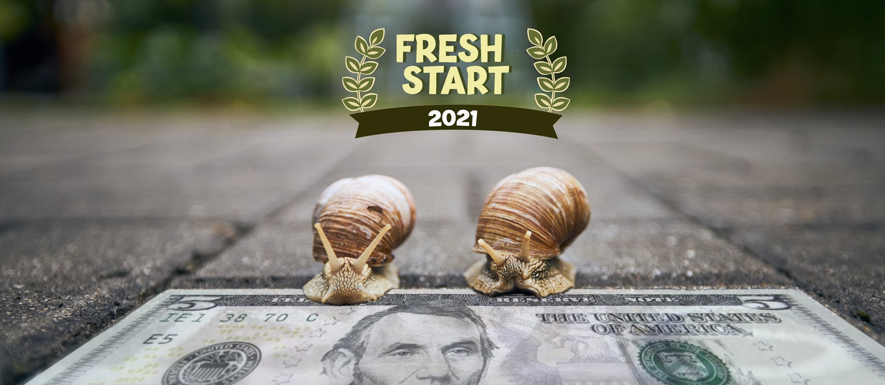 freshstart2021